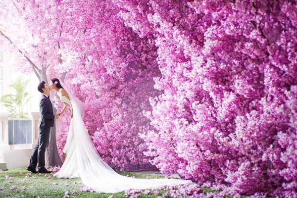 韩式婚纱先生&韩式婚纱女士