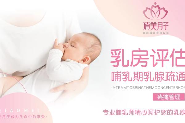 特技月嫂