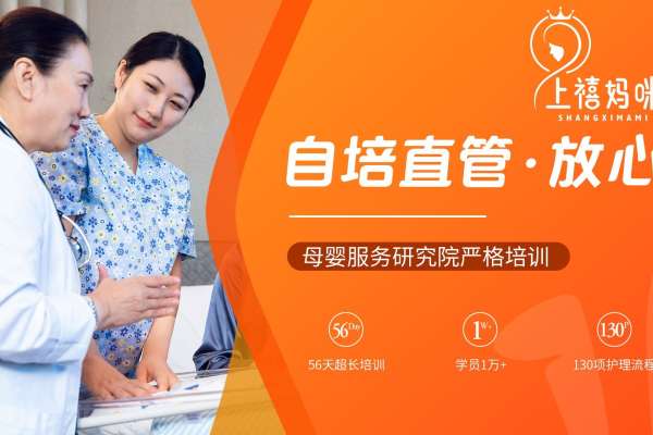 【金牌月嫂】精英全能型