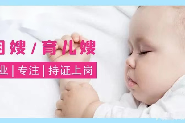 上海高级育婴师