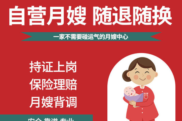 经济舱