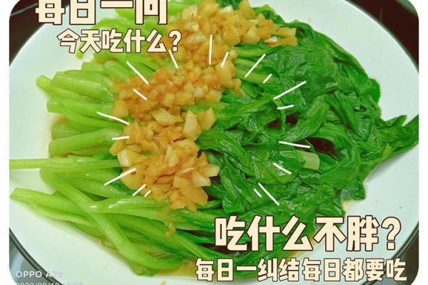 S5级别月嫂卢雪端