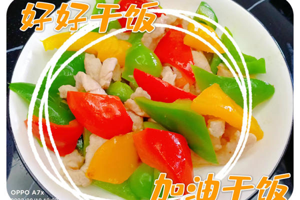 S5级别月嫂卢雪端