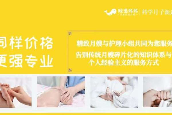 精致计划 高级计划（住家）