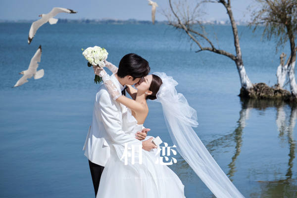 一年仅一次的限定海鸥婚纱照，浪漫💯