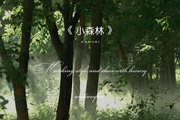 艾锐推荐/城市印记特色美景婚纱照