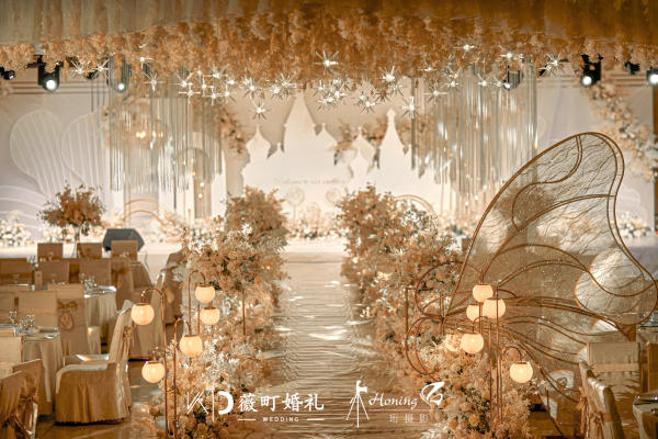 灿烂奢华 套系