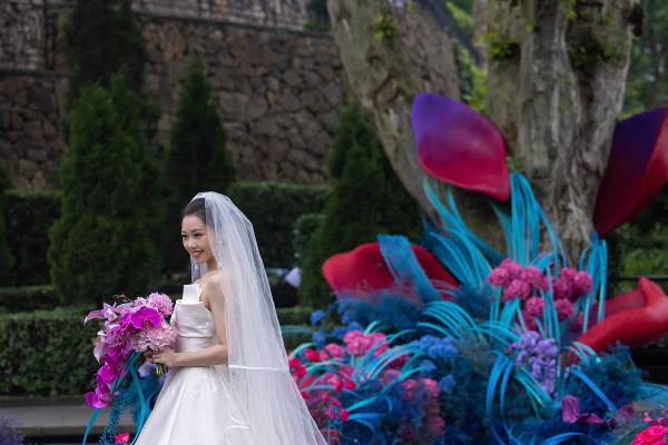 米迪婚礼 ｜一朵花的“自述”