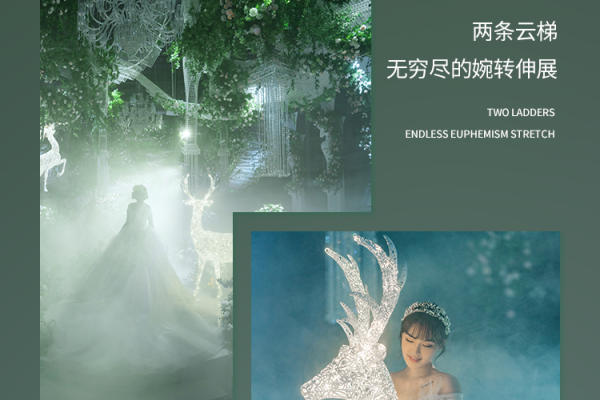 森林浪漫