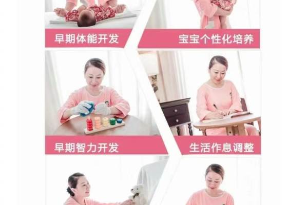 精英B级