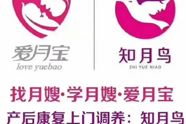 中级月嫂