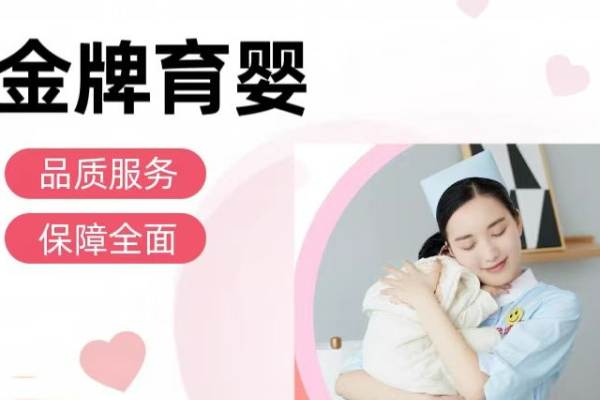 金牌育婴师