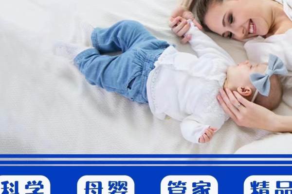 高级月嫂