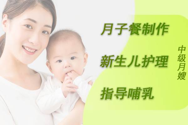 中级月嫂