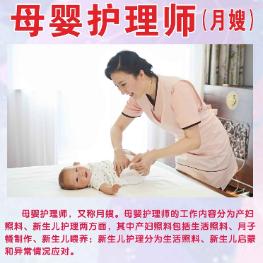 金牌月嫂