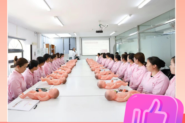 高级月嫂培训（含证）