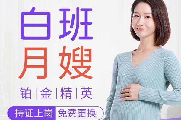 铂金精英白班月嫂
