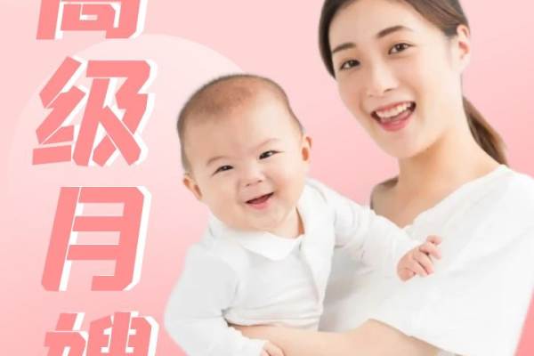 高级月嫂