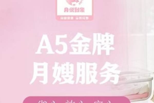 A5金牌月嫂服务