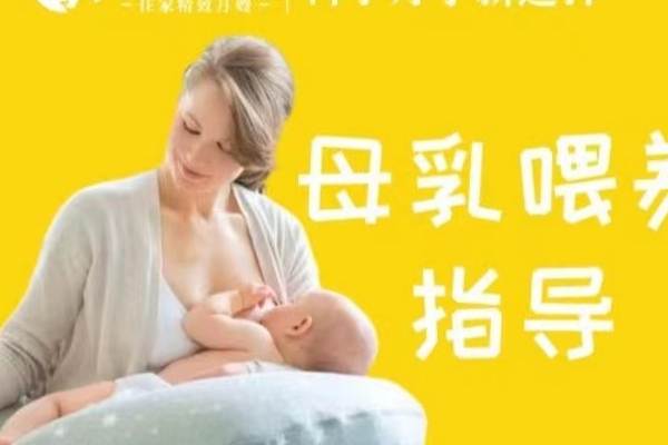 舒适计划 高级月嫂（白班）
