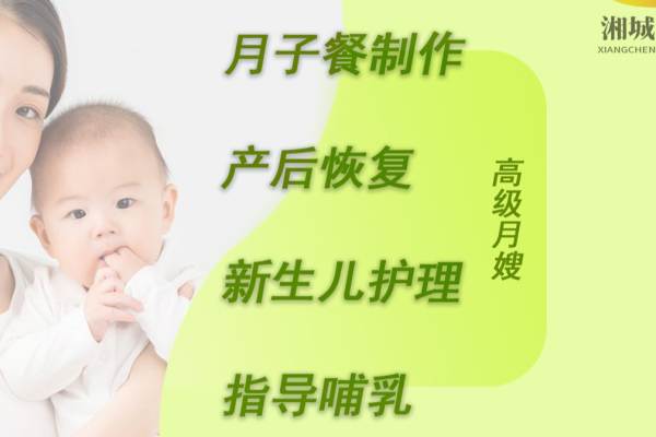 高级月嫂