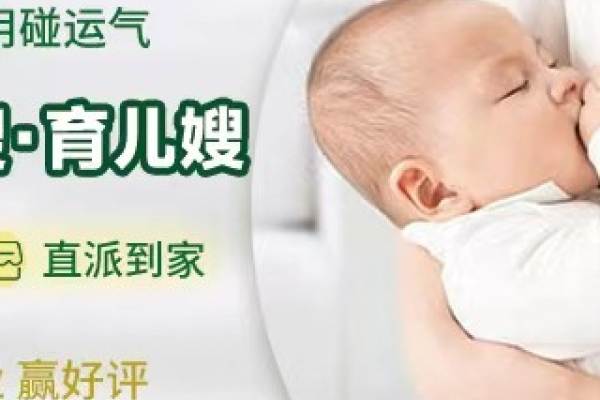 【新客专享】特级月嫂