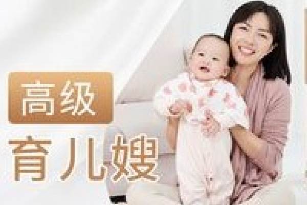 高级育儿嫂