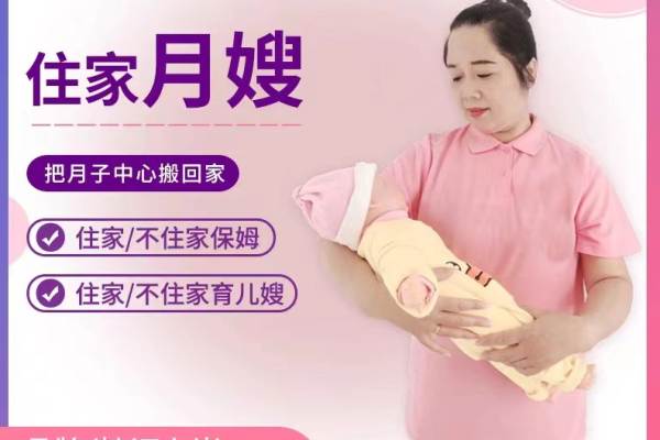 初级月嫂