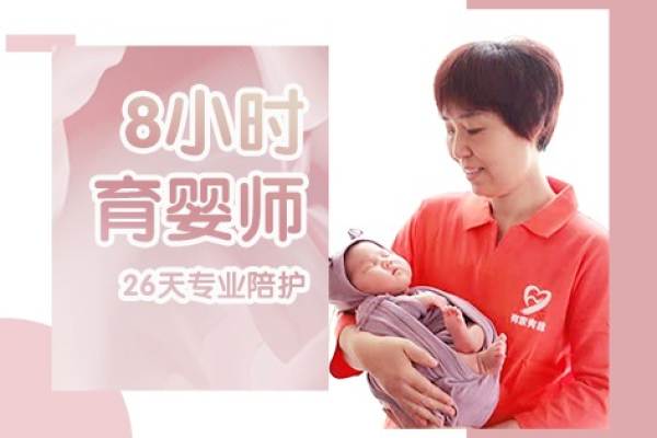 8小时双休初级育婴师