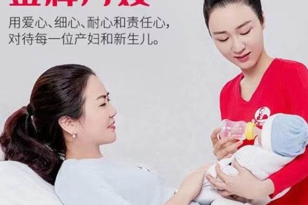 高端住家月嫂