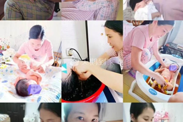 天鹅到家让我们相遇