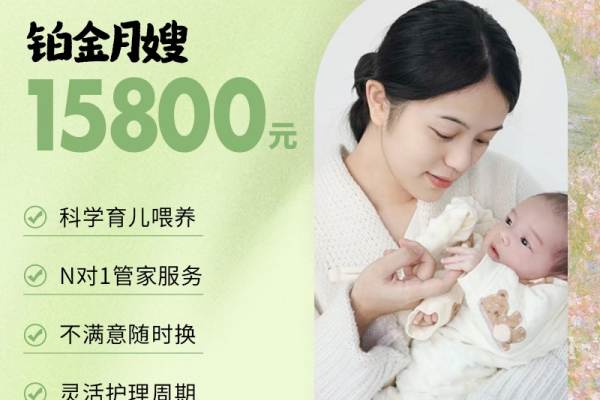 小恐龙铂金月嫂26天