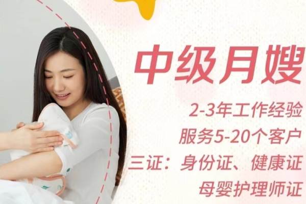 中级月嫂