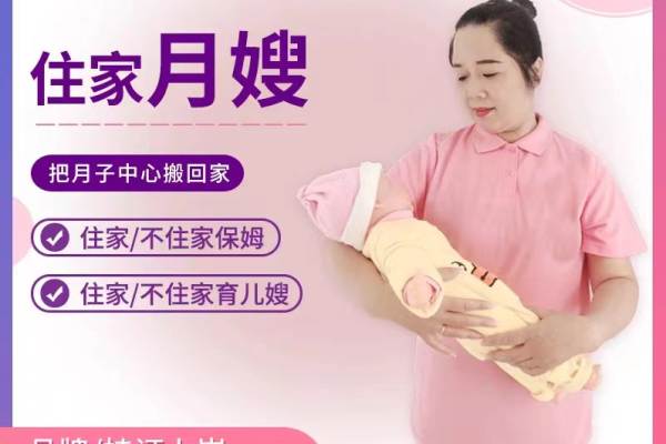 金牌月嫂