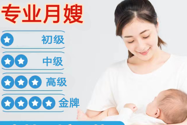 中级月嫂