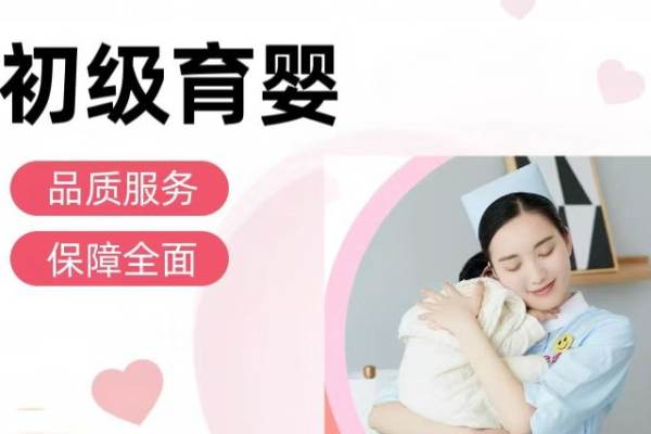 初级育儿嫂