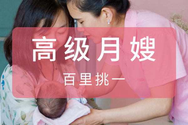 五星月嫂