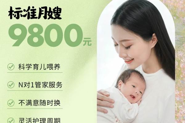 小恐龙标准月嫂26天
