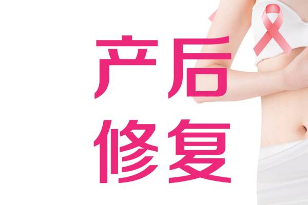 腹直肌修复