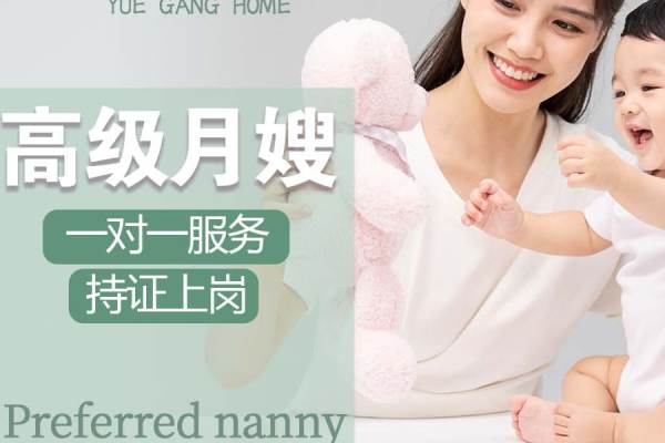 【特级月嫂】月嫂上门科学护理26天