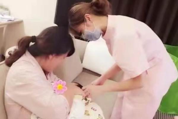 首席金牌月嫂