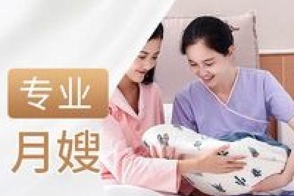 金牌月嫂