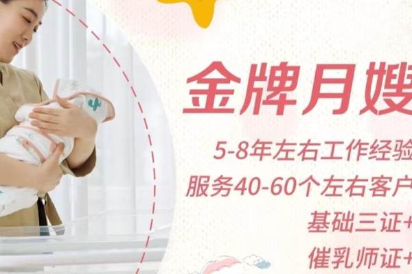 金牌月嫂