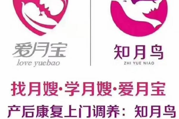 星级月嫂