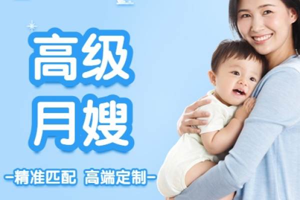 高级月嫂
