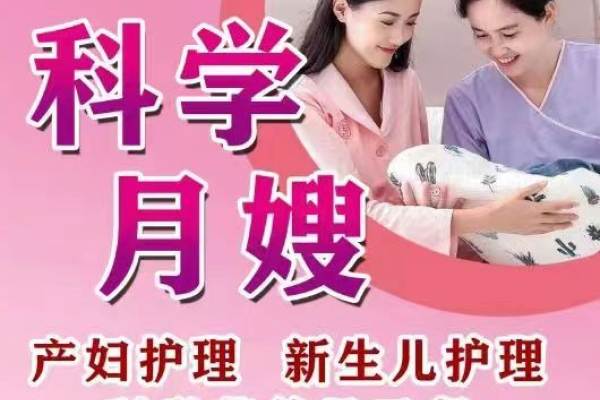 金牌明星月嫂