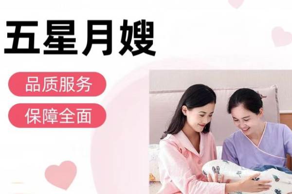 五星级月嫂