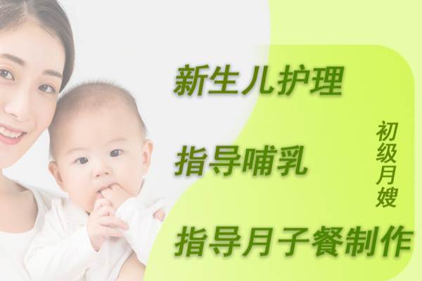 初级月嫂