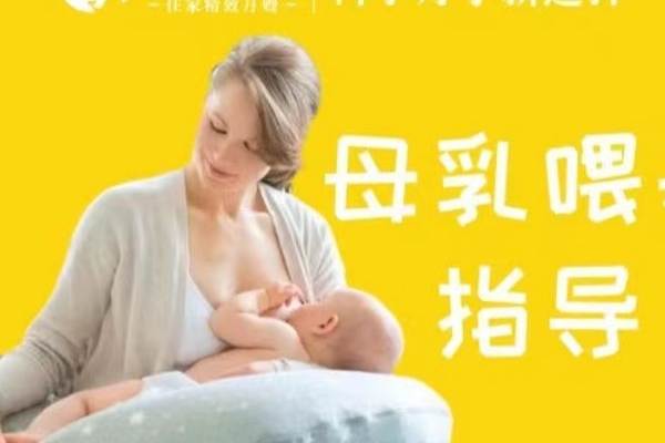 精致计划 高级计划（住家）