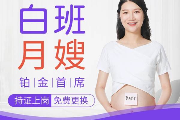 铂金首席白班月嫂